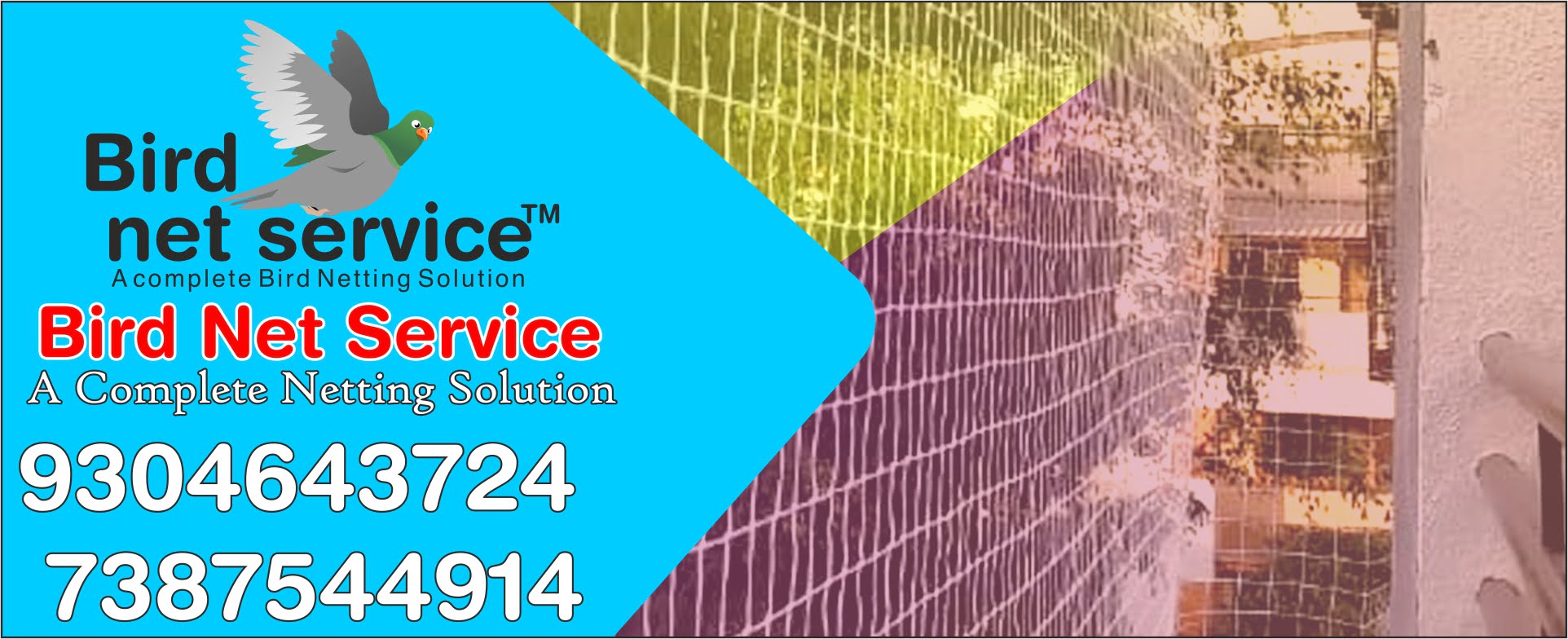 BIRD NET SERVICE 2nd Banner