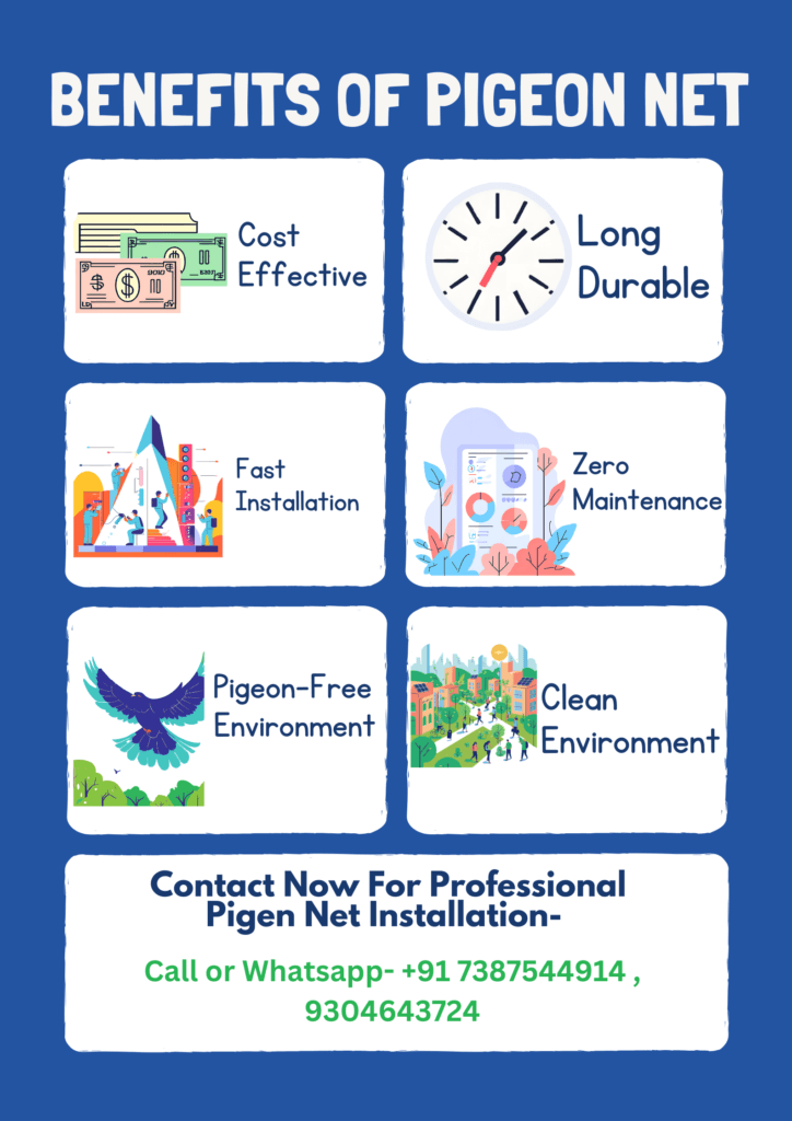 Benefits of Pigeon Net Pune