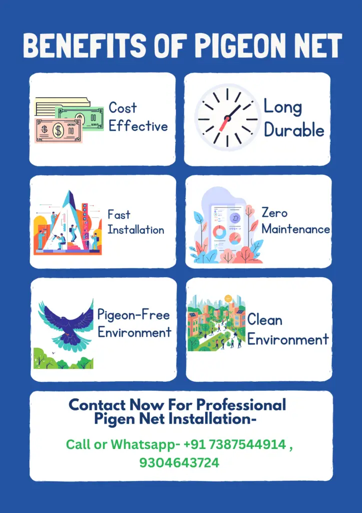 Benefits of Pigeon Net Pune
